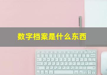 数字档案是什么东西