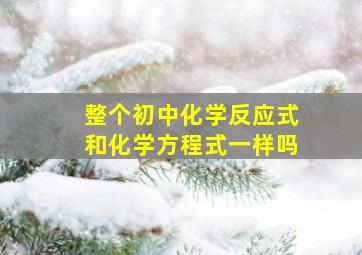 整个初中化学反应式和化学方程式一样吗