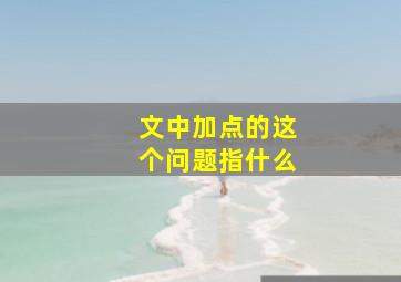 文中加点的这个问题指什么