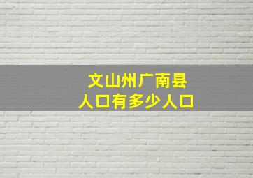 文山州广南县人口有多少人口