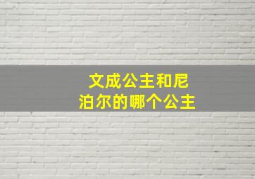 文成公主和尼泊尔的哪个公主