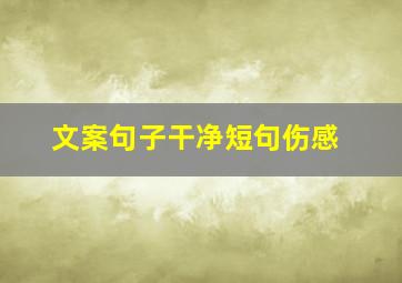 文案句子干净短句伤感