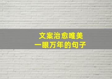 文案治愈唯美一眼万年的句子