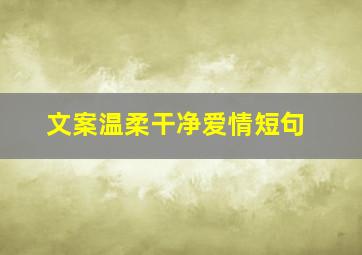 文案温柔干净爱情短句