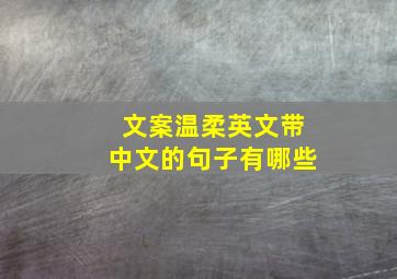 文案温柔英文带中文的句子有哪些