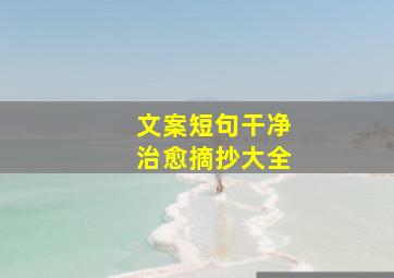 文案短句干净治愈摘抄大全