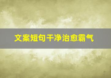 文案短句干净治愈霸气