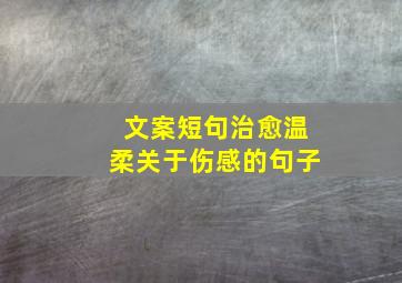 文案短句治愈温柔关于伤感的句子