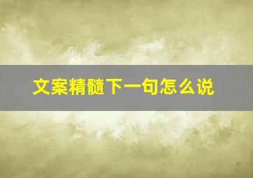 文案精髓下一句怎么说