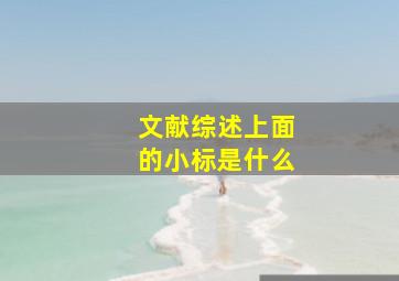 文献综述上面的小标是什么