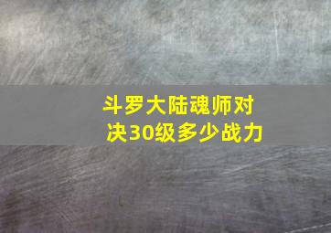 斗罗大陆魂师对决30级多少战力