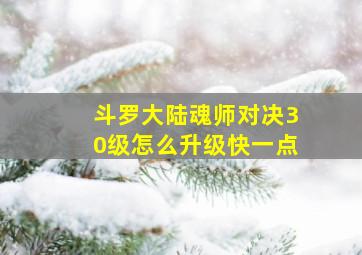 斗罗大陆魂师对决30级怎么升级快一点