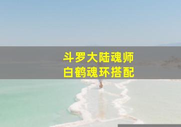 斗罗大陆魂师白鹤魂环搭配