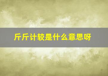 斤斤计较是什么意思呀