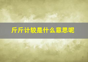 斤斤计较是什么意思呢