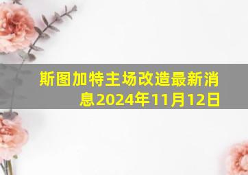 斯图加特主场改造最新消息2024年11月12日