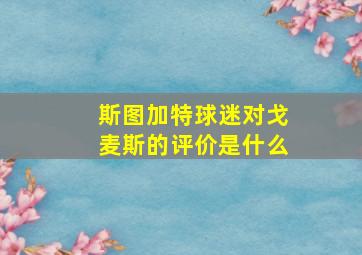 斯图加特球迷对戈麦斯的评价是什么