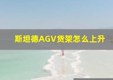 斯坦德AGV货架怎么上升