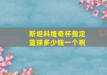 斯坦科维奇杯指定篮球多少钱一个啊