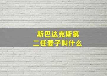 斯巴达克斯第二任妻子叫什么