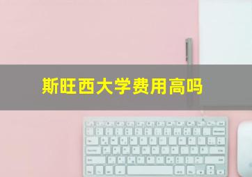 斯旺西大学费用高吗