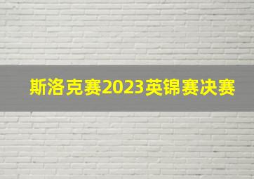 斯洛克赛2023英锦赛决赛