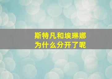 斯特凡和埃琳娜为什么分开了呢