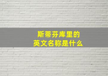 斯蒂芬库里的英文名称是什么