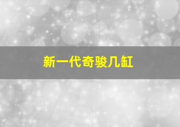 新一代奇骏几缸