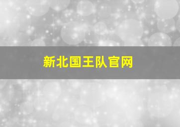 新北国王队官网