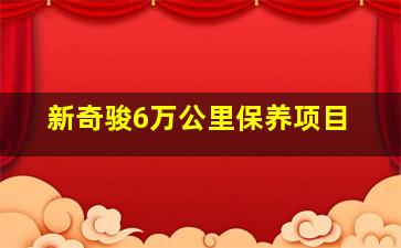 新奇骏6万公里保养项目