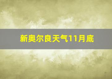 新奥尔良天气11月底