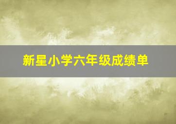 新星小学六年级成绩单