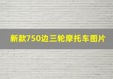 新款750边三轮摩托车图片