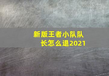 新版王者小队队长怎么退2021