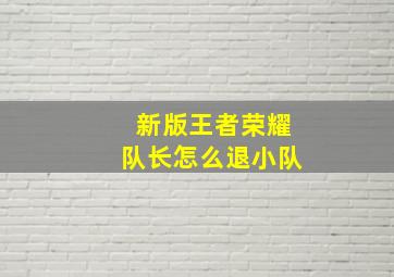 新版王者荣耀队长怎么退小队