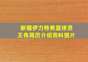 新疆伊力特男篮球员王伟简历介绍资料图片