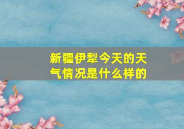 新疆伊犁今天的天气情况是什么样的