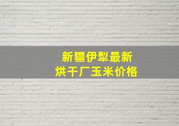 新疆伊犁最新烘干厂玉米价格