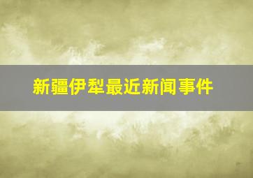 新疆伊犁最近新闻事件