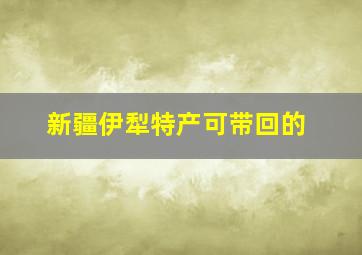 新疆伊犁特产可带回的