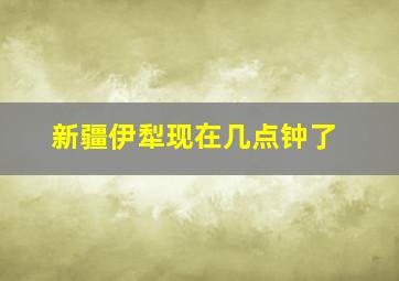 新疆伊犁现在几点钟了