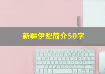 新疆伊犁简介50字