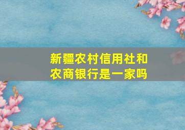 新疆农村信用社和农商银行是一家吗