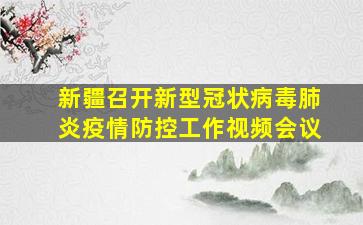 新疆召开新型冠状病毒肺炎疫情防控工作视频会议