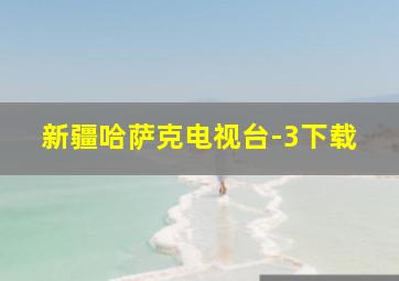 新疆哈萨克电视台-3下载