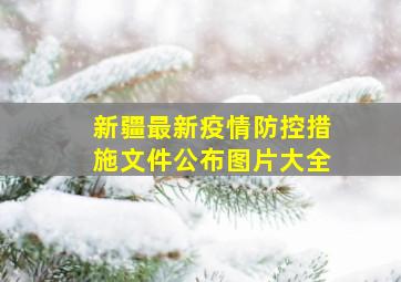 新疆最新疫情防控措施文件公布图片大全