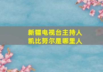 新疆电视台主持人凯比努尔是哪里人