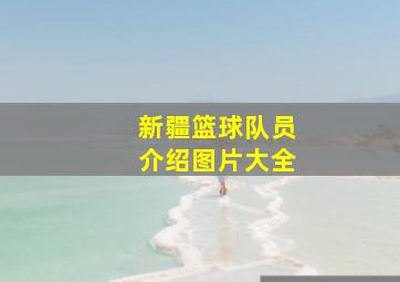 新疆篮球队员介绍图片大全