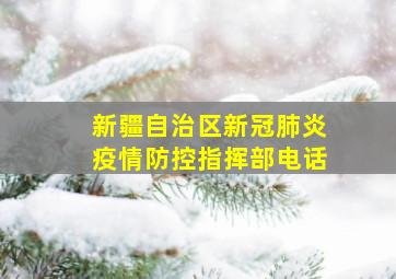 新疆自治区新冠肺炎疫情防控指挥部电话